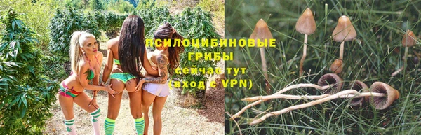 а пвп мука Лагань
