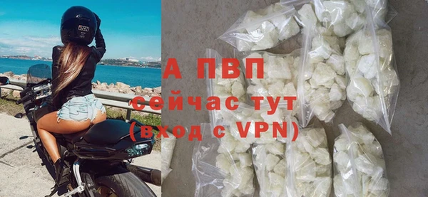 spice Ладушкин
