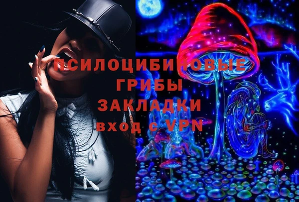 spice Ладушкин
