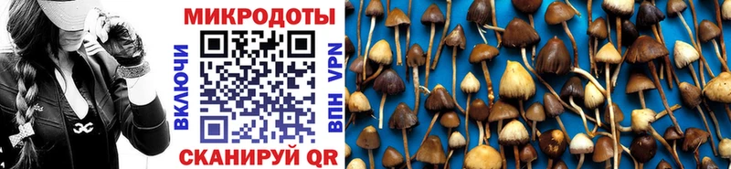 Псилоцибиновые грибы MAGIC MUSHROOMS  Ярцево 