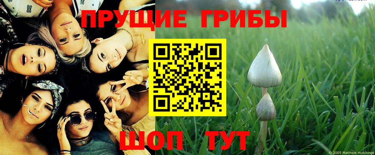 Галлюциногенные грибы Cubensis  Ярцево 