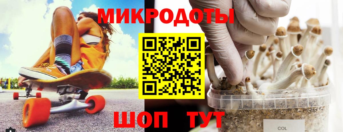 Галлюциногенные грибы Psilocybe  Вход с VPN  Ярцево 